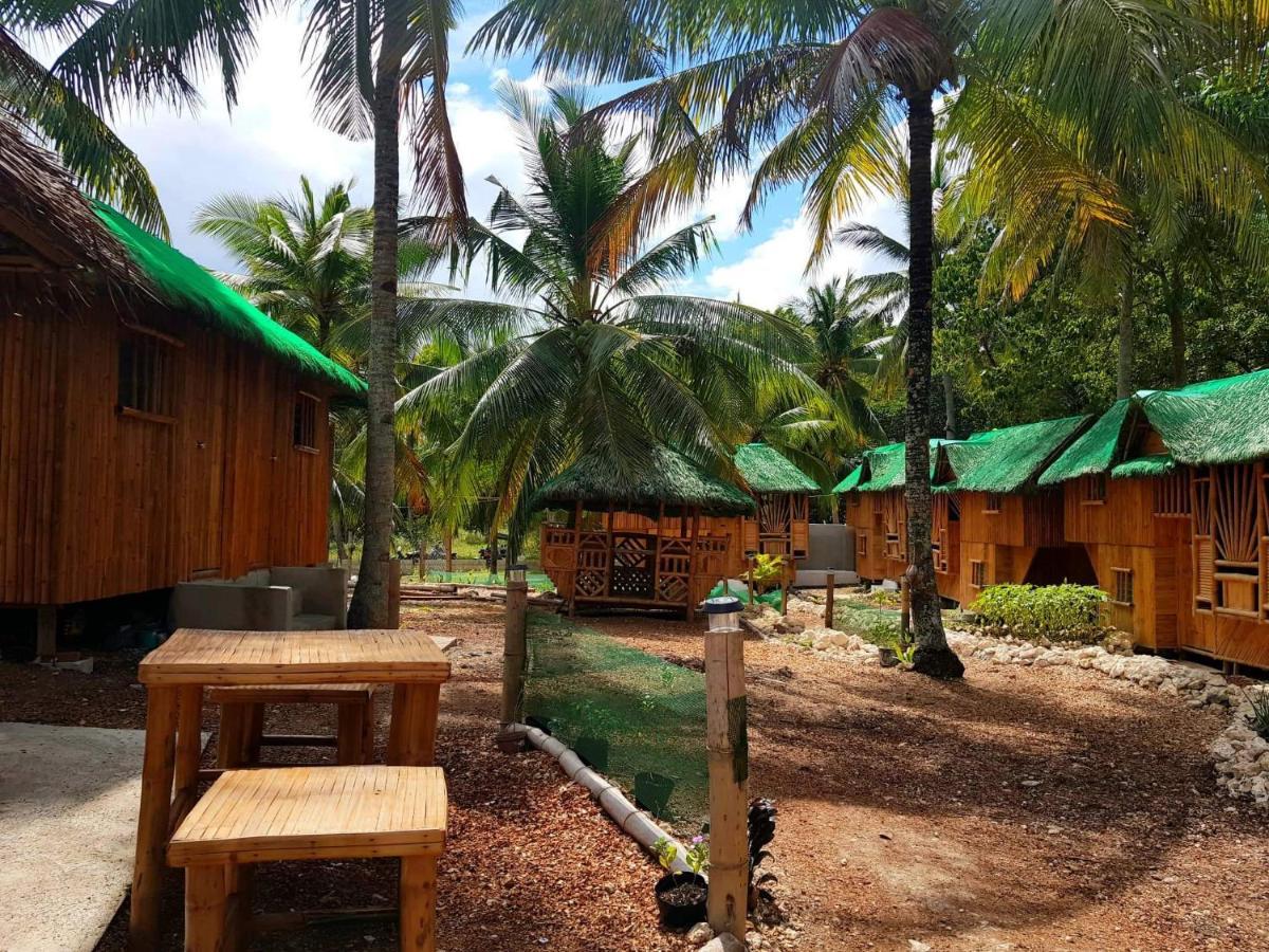 Nirvana Resort & Dive Centre - モアルボアル エクステリア 写真