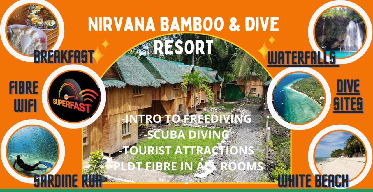 Nirvana Resort & Dive Centre - モアルボアル エクステリア 写真