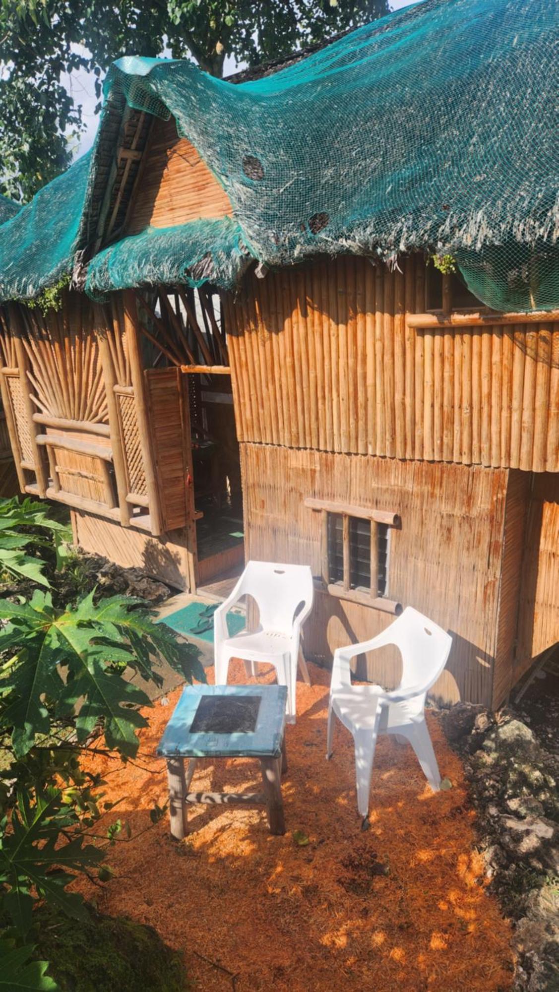Nirvana Resort & Dive Centre - モアルボアル エクステリア 写真
