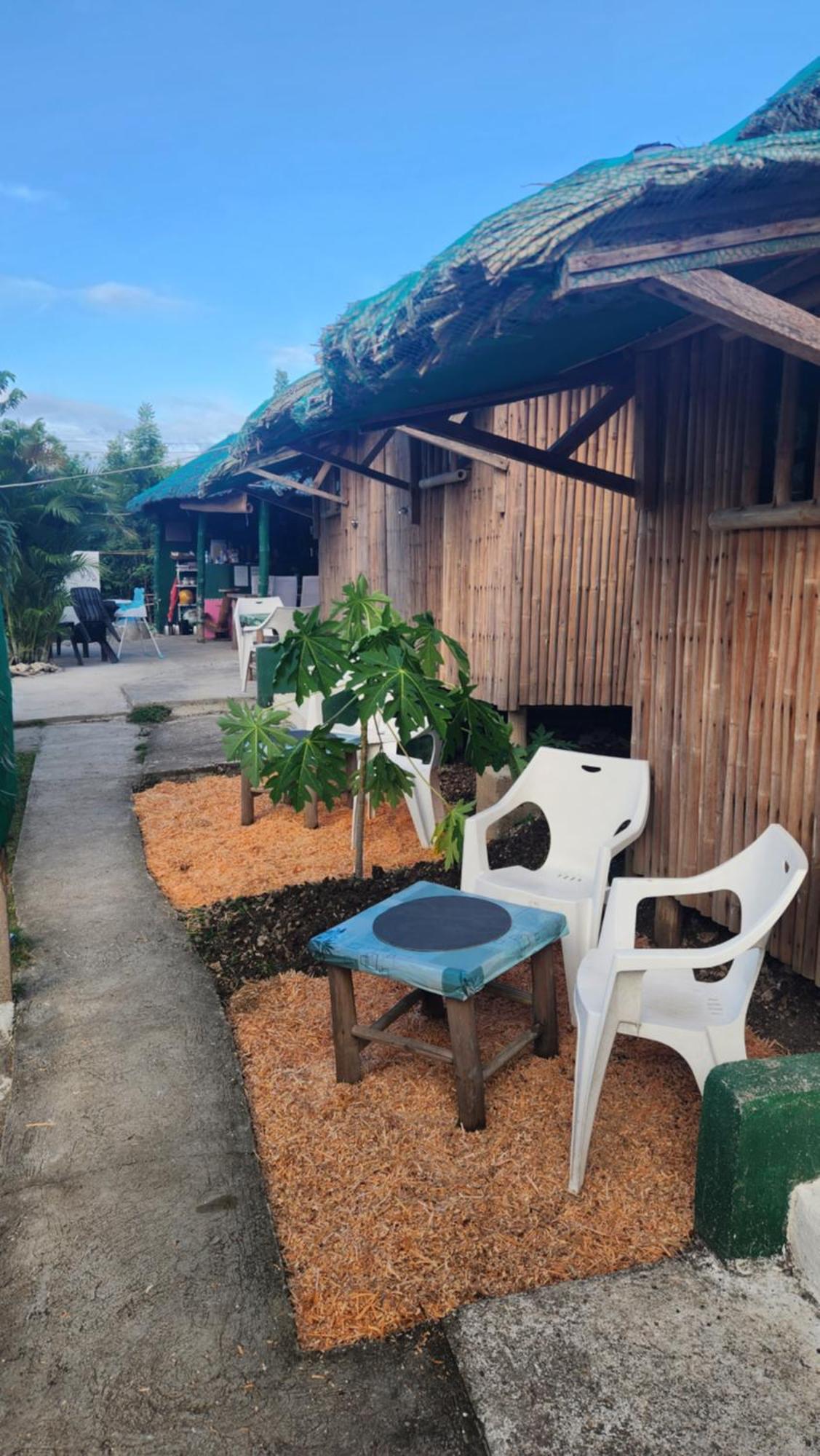 Nirvana Resort & Dive Centre - モアルボアル エクステリア 写真