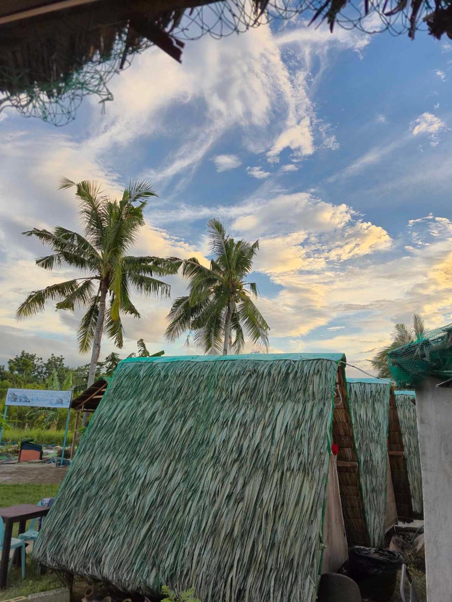 Nirvana Resort & Dive Centre - モアルボアル エクステリア 写真