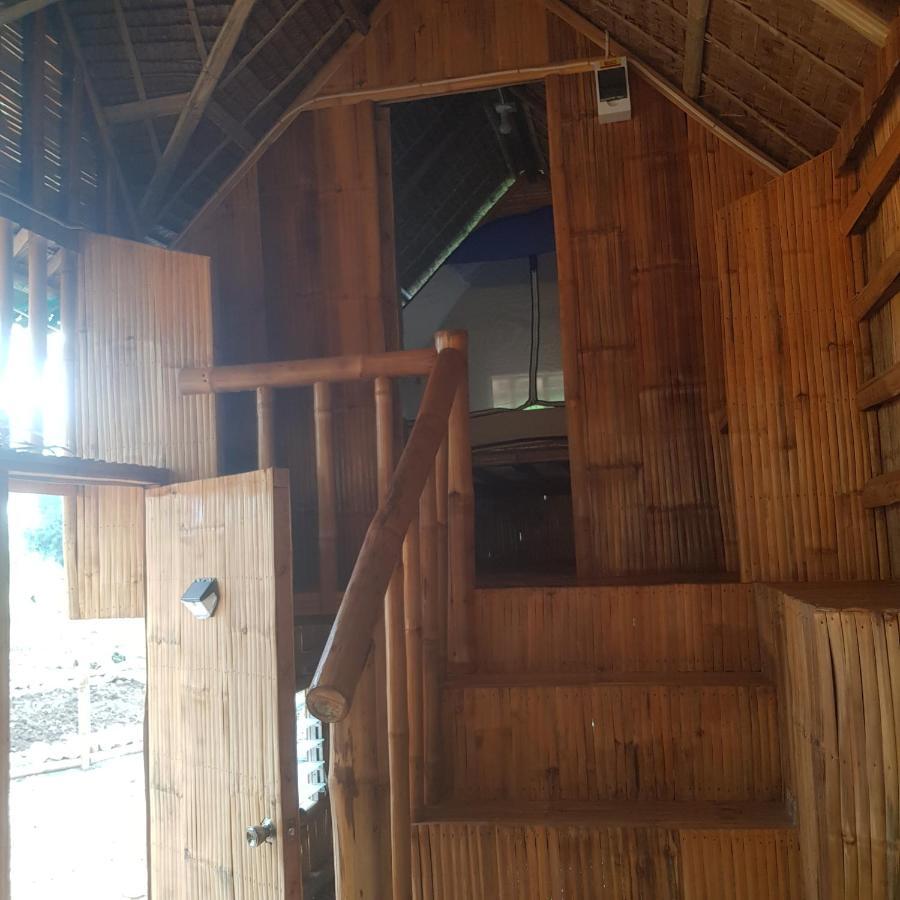 Nirvana Resort & Dive Centre - モアルボアル エクステリア 写真